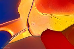 Abstract Blue, Red and Yellow Birds of a Color Macro Glass Art
