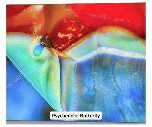Psychedelic Butterfly Metal Prints